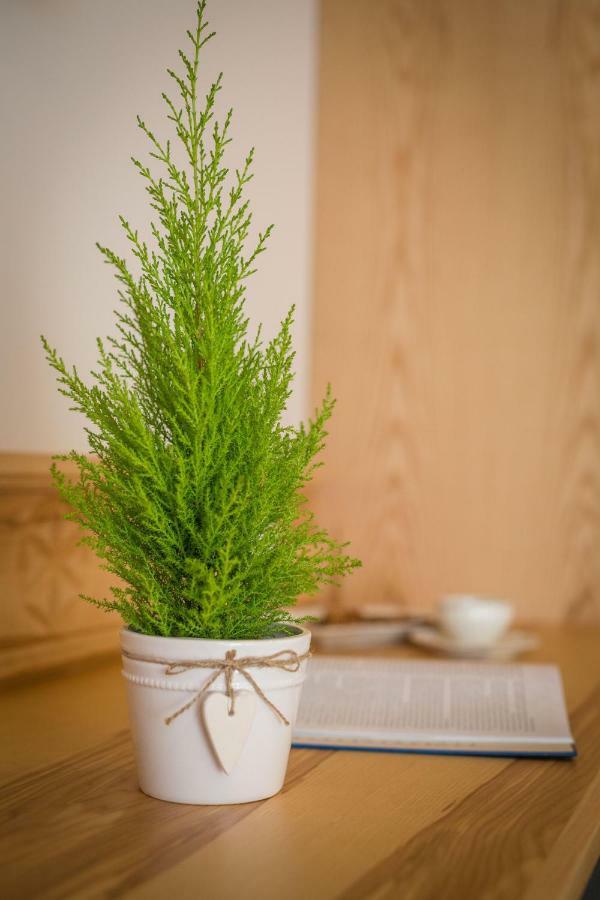 Bed & Breakfast Goralsko Riwiera *